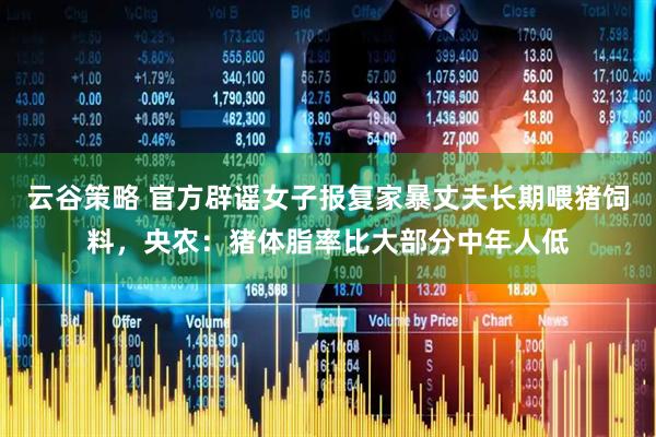 云谷策略 官方辟谣女子报复家暴丈夫长期喂猪饲料，央农：猪体脂率比大部分中年人低