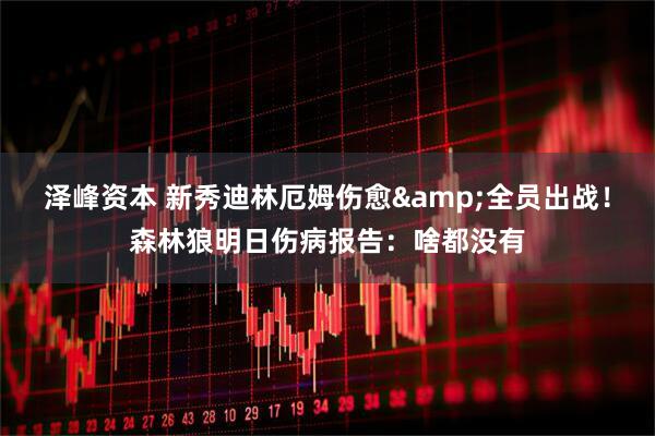 泽峰资本 新秀迪林厄姆伤愈&全员出战！森林狼明日伤病报告：啥都没有